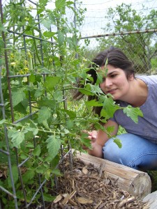 Margeaux and Tomato Plants