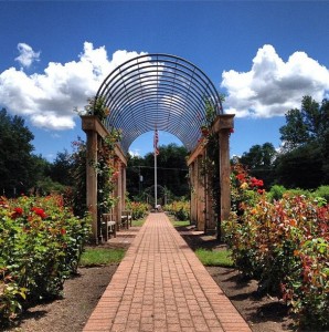 Bluemont_BonAirRoseGarden